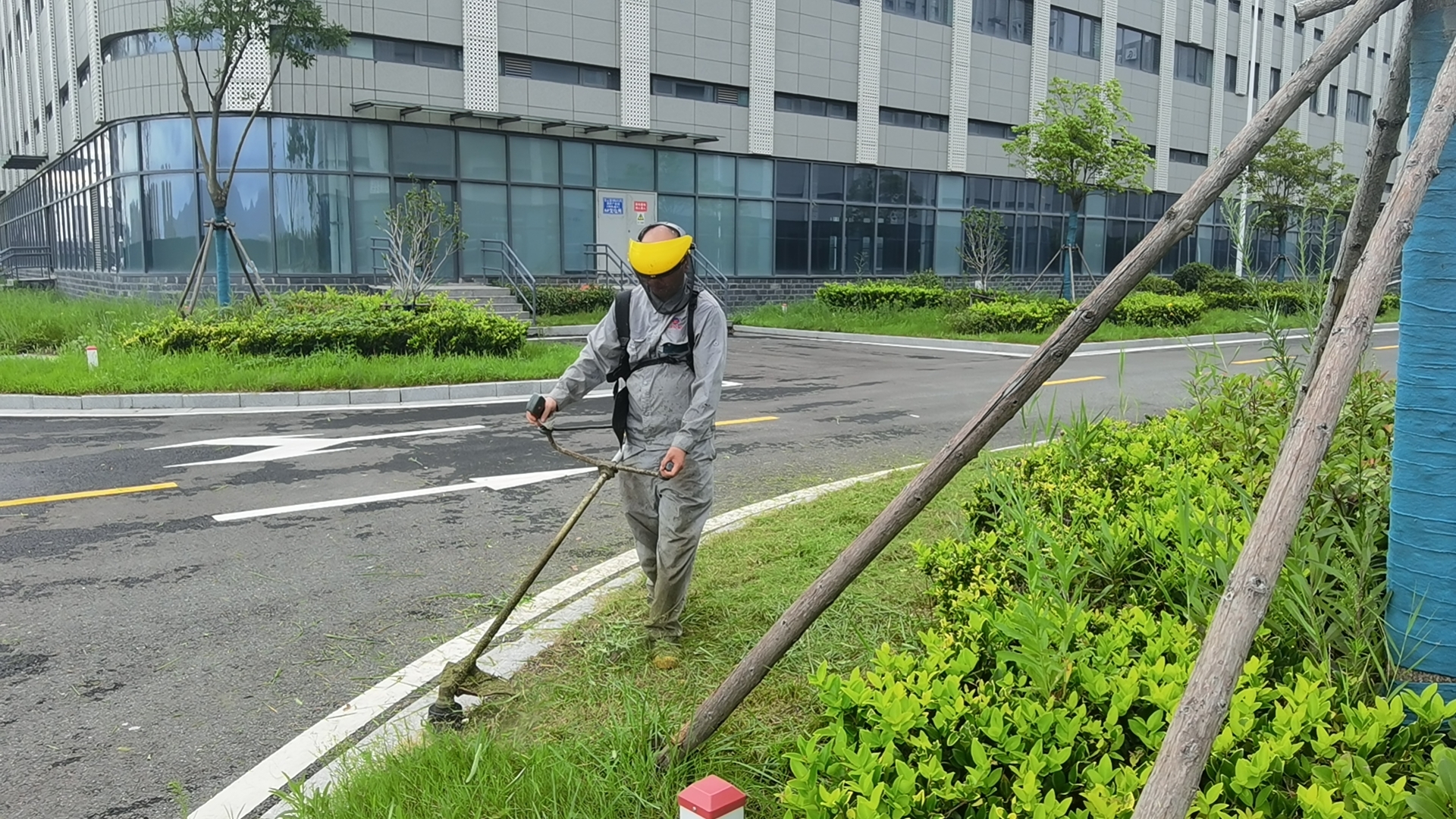 1690539437136052704.jpg mmexport1690537984742.jpg