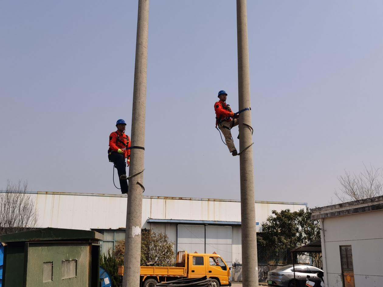 1679358182492026454.png 圖片1.png